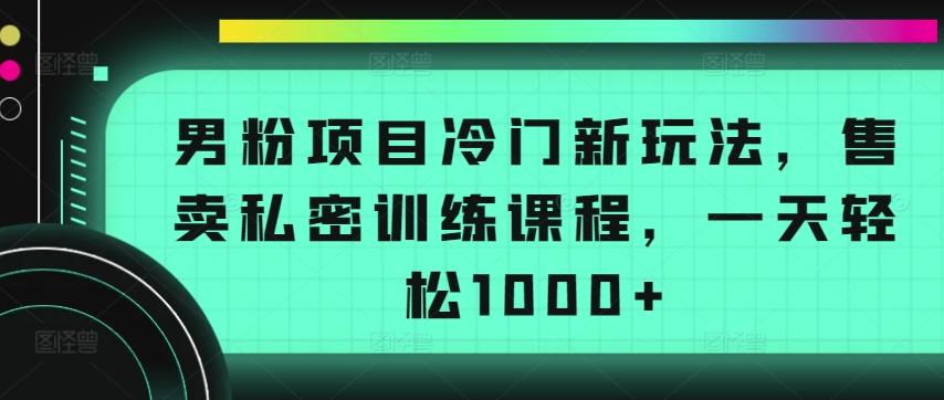 男粉项目冷门新玩法，售卖私密训练课程，一天轻松1000+【揭秘】-云创网