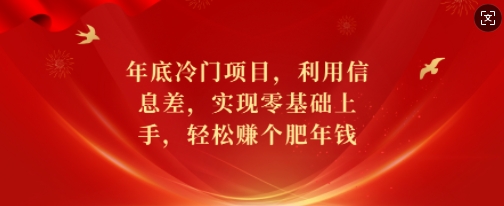 年底冷门项目，利用信息差，实现零基础上手，轻松赚个肥年钱【揭秘】-云创网