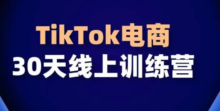 TikTok电商带货30天线上课,不可错过的全球流量洼地!-云创网