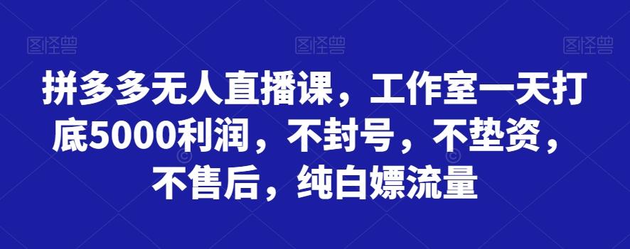 拼多多无人直播课，工作室一天打底5000利润，不封号，不垫资，不售后，纯白嫖流量-云创网