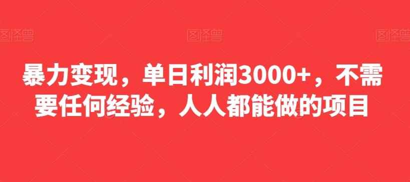 暴力变现，单日利润3000+，不需要任何经验，人人都能做的项目-云创网