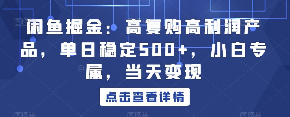 闲鱼掘金：高复购高利润产品，单日稳定500+，小白专属，当天变现-云创网