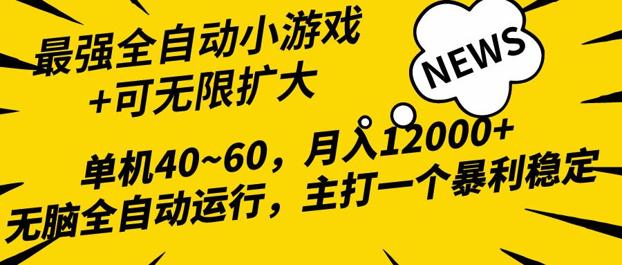 (10046期)2024最新全网独家小游戏全自动，单机40~60,稳定躺赚，小白都能月入过万-云创网