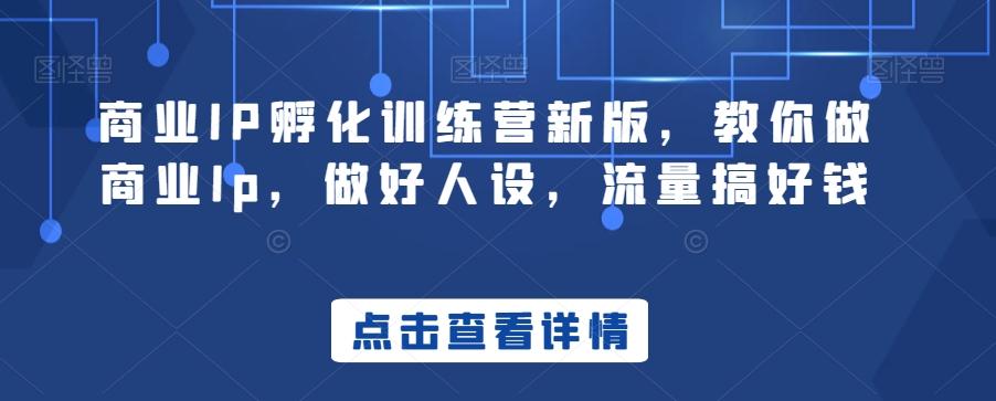 商业IP孵化训练营新版，教你做商业Ip，做好人设，流量搞好钱-云创网