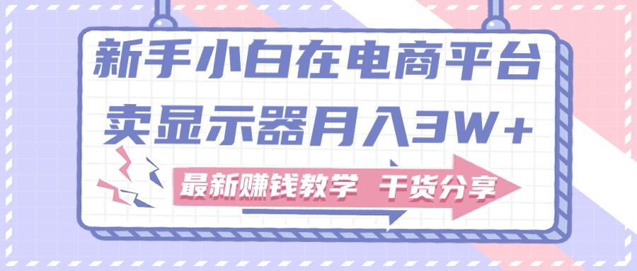 新手小白如何做到在电商平台卖显示器月入3W+，最新赚钱教学干货分享-云创网