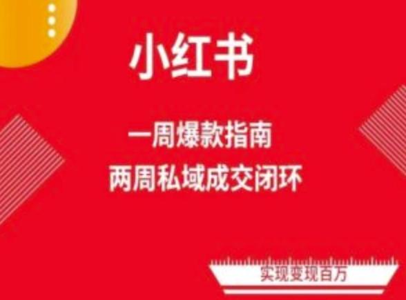 爆款小红书免费流量体系课程(两周变现)，小红书电商教程-云创网