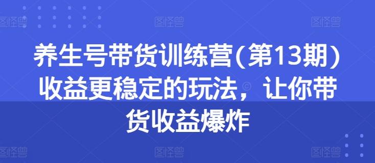 养生号带货训练营(第13期)收益更稳定的玩法，让你带货收益爆炸-云创网