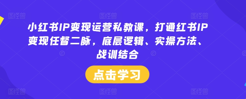 小红书IP变现运营私教课，打通红书IP变现任督二脉，底层逻辑、实操方法、战训结合-云创网