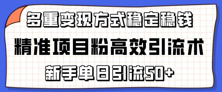 精准项目粉高效引流术，新手单日引流50+，多重变现方式稳定赚钱【揭秘】-云创网