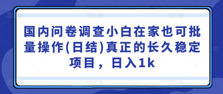 国内问卷调查小白在家也可批量操作(日结)真正的长久稳定项目，日入1k【揭秘】-云创网