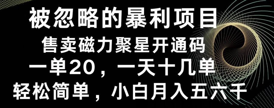 被忽略的暴利项目!售卖磁力聚星开通码,一单20,一天十几单,轻松月入五六千-云创网
