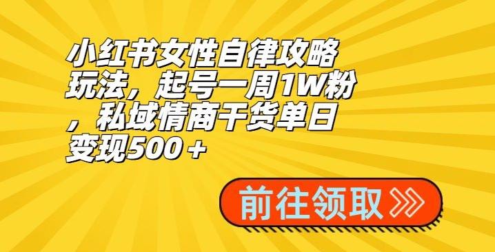 小红书女性自律攻略玩法,起号一周1W粉,私域情商干货单日变现500+-云创网