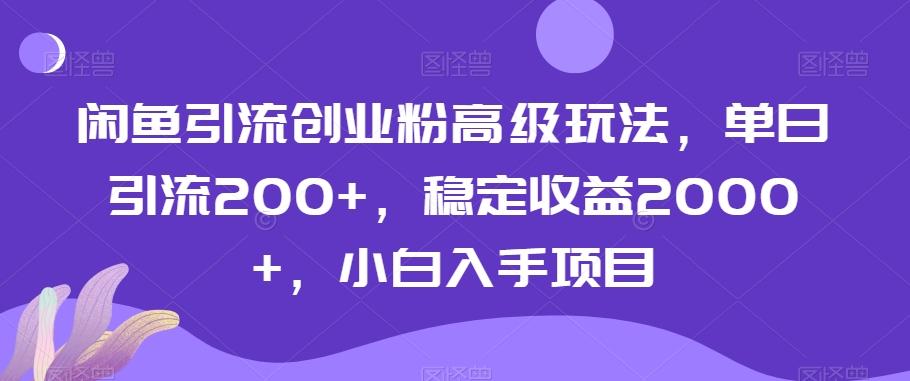 闲鱼引流创业粉高级玩法，单日引流200+，稳定收益2000+，小白入手项目-云创网