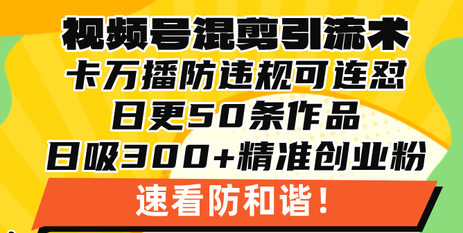 视频号混剪引流技术,500万播放引流17000创业粉,操作简单当天学会-云创网