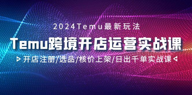 2024Temu跨境开店运营实战课，开店注册/选品/核价上架/日出千单实战课-云创网