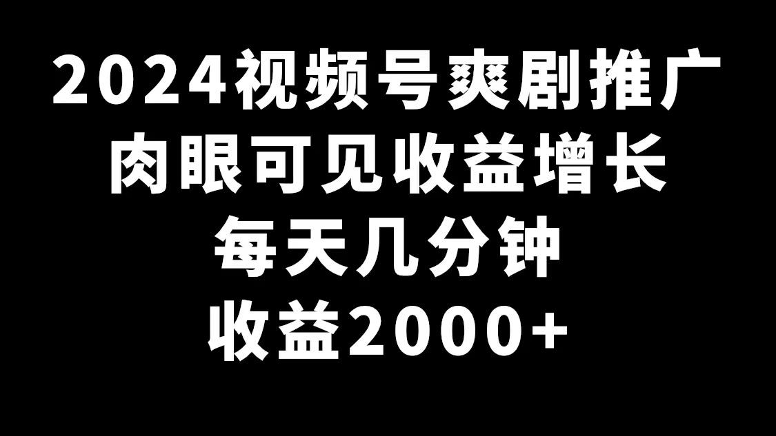 2024视频号爽剧推广，肉眼可见的收益增长，每天几分钟收益2000+-云创网