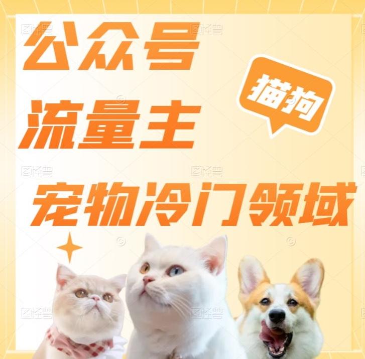 公众号流量主，萌宠冷门领域，单日收益2000+，简单暴力掘金，矩阵操作，无限放大收益！-云创网