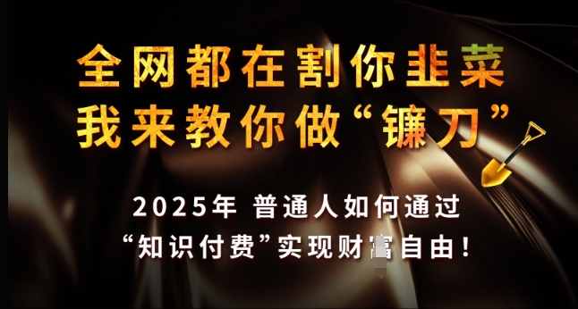 全网都在割你韭菜,我来教你做镰刀,2025年普通人如何通过 知识付费 实现财F自由【揭秘】-云创网