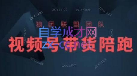 狼团联盟·2024视频号带货-云创网