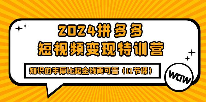 (9817期)2024拼多多短视频变现特训营,知识的丰厚比起金钱更可靠(11节课)-云创网