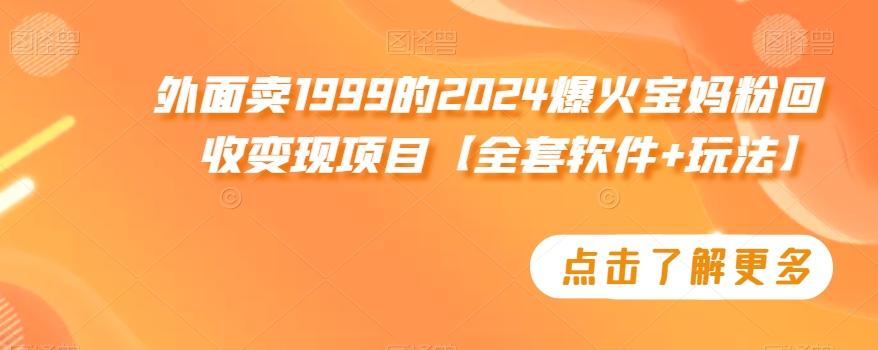 外面卖1999的2024爆火宝妈粉回收变现项目【全套软件+玩法】【揭秘】-云创网