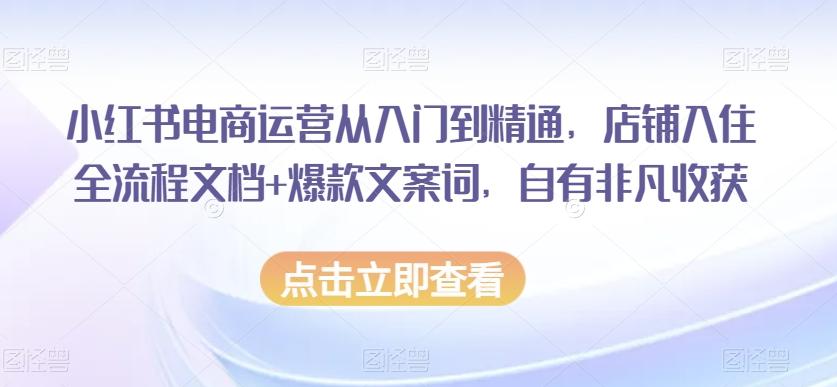 小红书电商运营从入门到精通，店铺入住全流程文档+爆款文案词，自有非凡收获-云创网