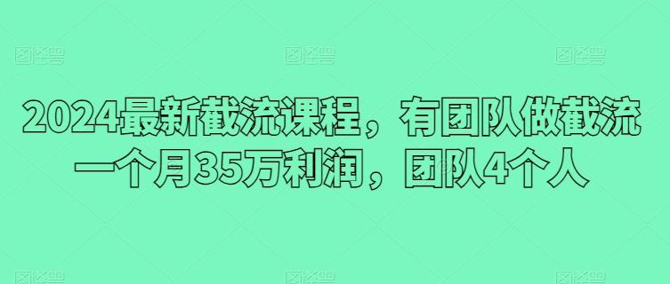 2024最新截流课程，有团队做截流一个月35万利润，团队4个人-云创网