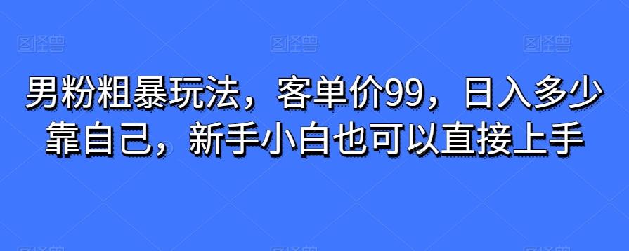 男粉粗暴玩法，客单价99，日入多少靠自己，新手小白也可以直接上手-云创网