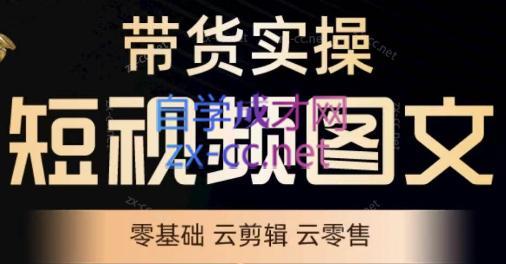 鑫哥·2024零基础短视频带货实操营-云创网