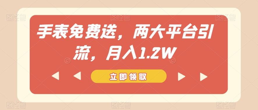 手表免费送，两大平台引流，月入1.2W【揭秘】-云创网