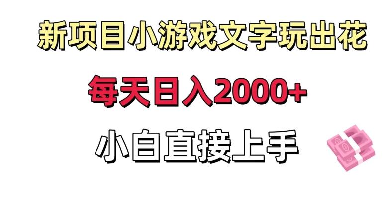 新项目小游戏文字玩出花日入2000+,每天只需一小时,小白直接上手【揭秘】-云创网