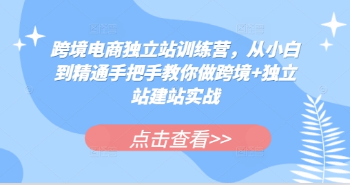 跨境电商独立站训练营,从小白到精通手把手教你做跨境+独立站建站实战-云创网