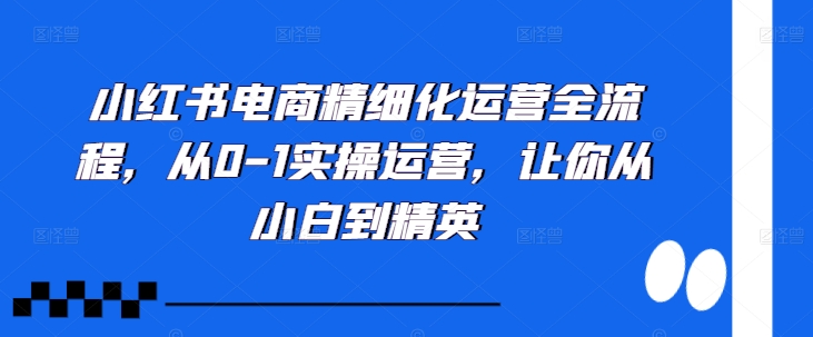小红书电商精细化运营全流程，从0-1实操运营，让你从小白到精英-云创网