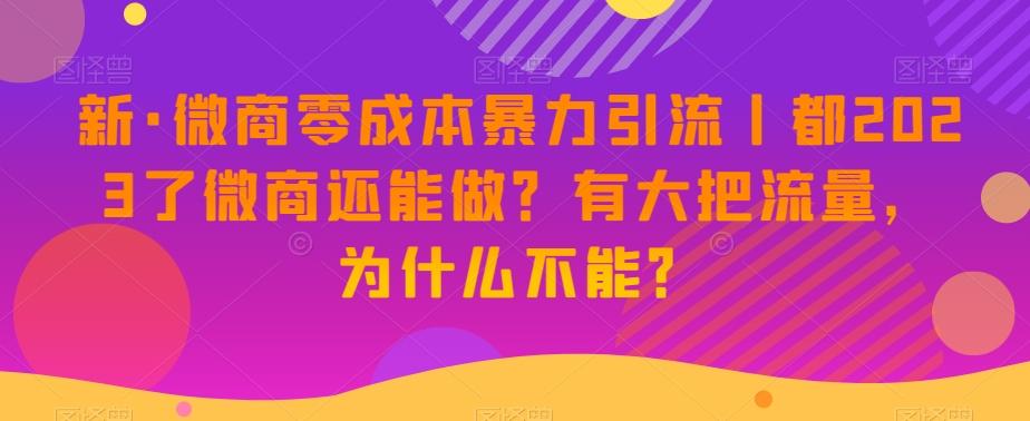 新·微商零成本暴力引流丨都2023了微商还能做?有大把流量,为什么不能?-云创网