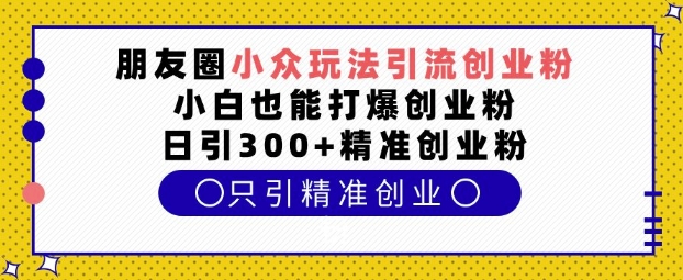 朋友圈小众玩法引流创业粉，小白也能打爆创业粉，日引300+精准创业粉【揭秘】-云创网