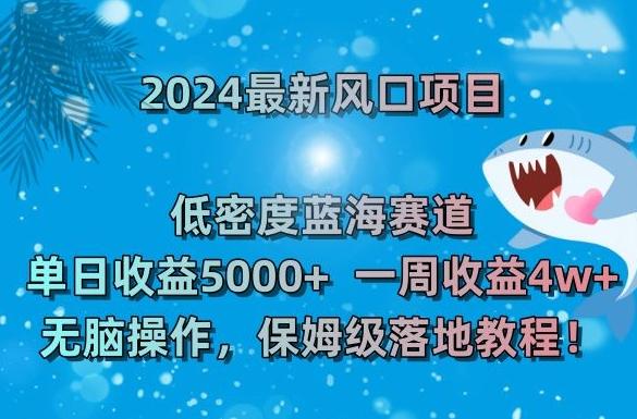 2024最新风口项目,低密度蓝海赛道,单日收益5000+,一周收益4w+!【揭秘】-云创网
