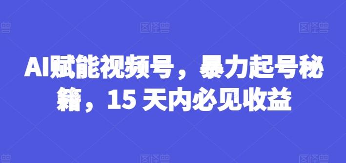 AI赋能视频号，暴力起号秘籍，15 天内必见收益【揭秘】-云创网