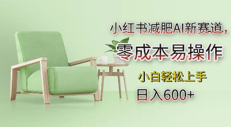 小红书减肥AI新赛道，零成本易操作，日入多张，小白轻松上手【揭秘】-云创网