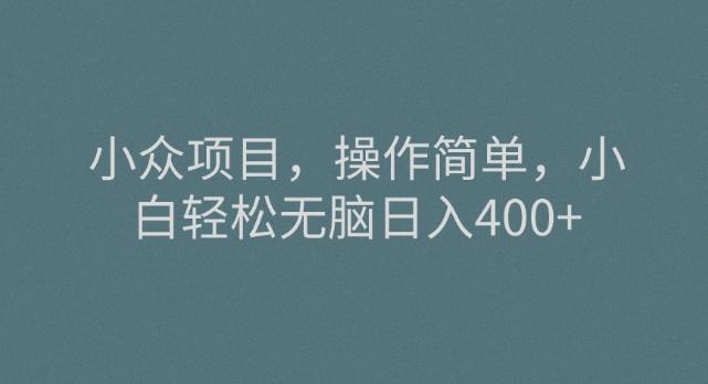 小众项目,操作简单,小白轻松无脑日入400+-云创网