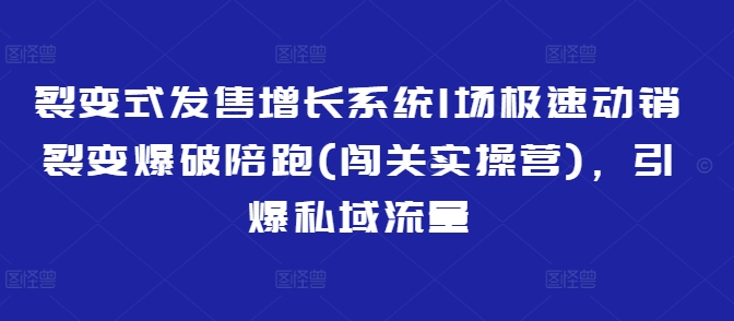 裂变式发售增长系统1场极速动销裂变爆破陪跑(闯关实操营)，引爆私域流量-云创网