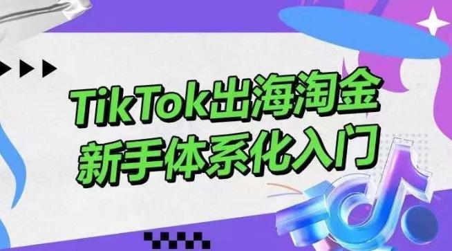 TikTok出海淘金，新手体系化入门，零基础快速入门，掌握短视频、直播带货等引流到变现的知识-云创网